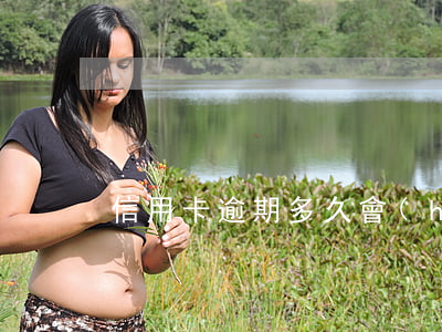 信用卡逾期多久會(huì)留下案底