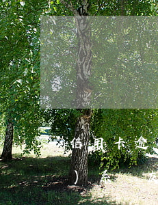 信用卡逾期多久會(huì)聯(lián)系親友(朋友的信用卡逾期了聯(lián)系人受牽連嗎)