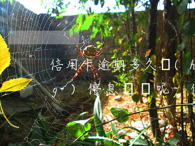 信用卡逾期多久會(huì)自動(dòng)停息掛賬呢-信用卡逾期多久會(huì)自動(dòng)停息掛賬呢怎么辦