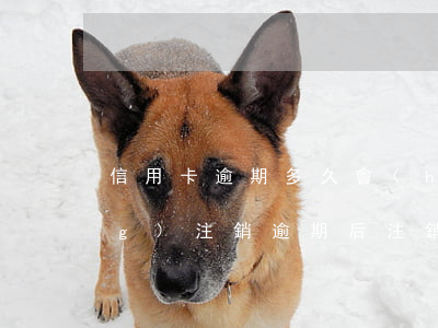 信用卡逾期多久會(huì)自動(dòng)注銷(逾期后注銷信用卡后果嚴(yán)重)