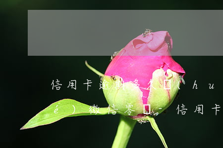 信用卡逾期多久會(huì)被凍結(jié)微信零錢-信用卡逾期多久會(huì)被凍結(jié)微信零錢嗎