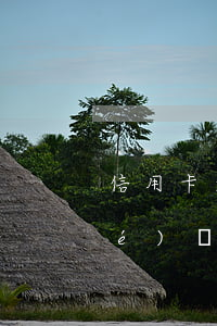 信用卡逾期多久會(huì)被凍結(jié)銀行賬戶-信用卡逾期多久會(huì)被凍結(jié)銀行賬戶呢