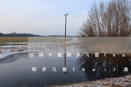 信用卡逾期多久會(huì)被刑事立案(逾期多久會(huì)凍結(jié)信用卡)
