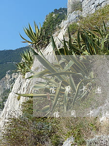 信用卡逾期多久會(huì)被列入黑名單(信用卡逾期一年了是不是被列入黑名單了?)
