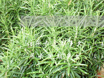 信用卡逾期多久會(huì)被列為黑戶(信用卡逾期多久會(huì)被列為黑戶呢)