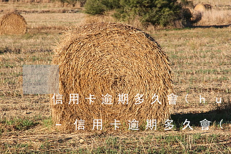 信用卡逾期多久會(huì)被寄出律師函-信用卡逾期多久會(huì)被寄出律師函給我