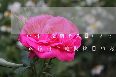 信用卡逾期多久會(huì)被寄出律師函(如信用卡逾期被銀行起訴了,函件是寄到哪里)
