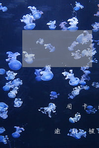 信用卡逾期多久會(huì)被布控(信用卡逾期被風(fēng)控了怎么辦)