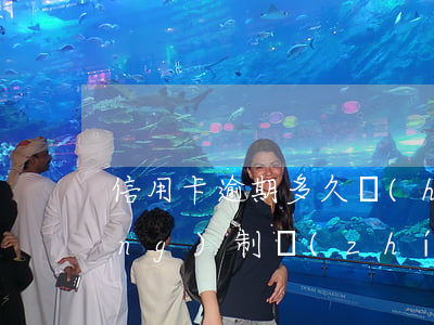 信用卡逾期多久會(huì)被強(qiáng)制執(zhí)行財(cái)產(chǎn)-信用卡逾期多久會(huì)被強(qiáng)制執(zhí)行財(cái)產(chǎn)保全