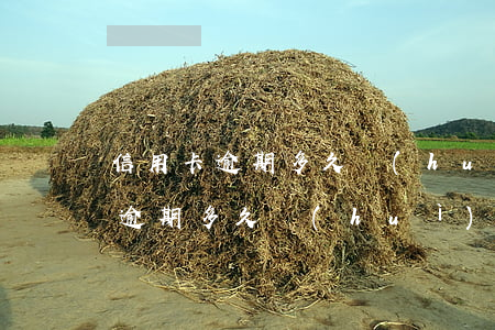 信用卡逾期多久會(huì)被扣款(信用卡逾期多久會(huì)自動(dòng)扣款)