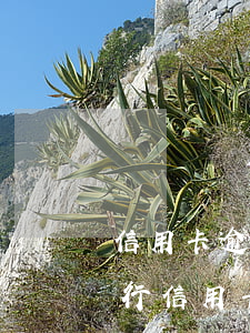 信用卡逾期多久會(huì)被民事訴訟(銀行信用卡逾期多久會(huì)被起訴)