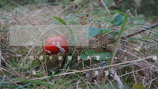 信用卡逾期多久會(huì)被法院起訴廣發(fā)-廣發(fā)卡信用卡逾期幾天