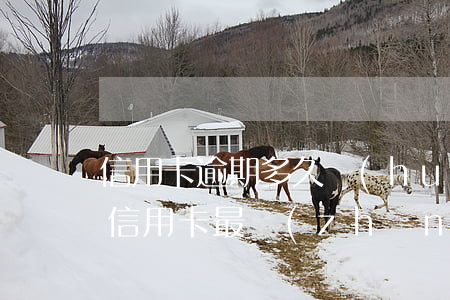 信用卡逾期多久會(huì)被消除(你們的信用卡最長(zhǎng)逾期過(guò)多久)
