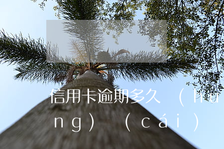 信用卡逾期多久會(huì)被申請(qǐng)財(cái)產(chǎn)保全-信用卡逾期多久會(huì)被申請(qǐng)財(cái)產(chǎn)保全呢