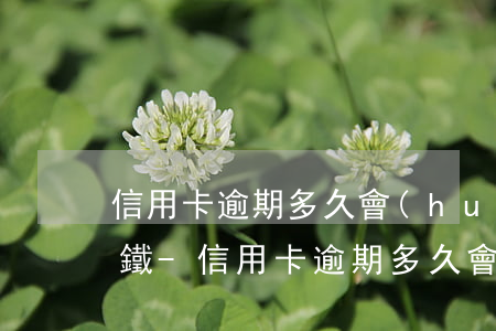 信用卡逾期多久會(huì)被禁止乘坐高鐵-信用卡逾期多久會(huì)被禁止乘坐高鐵車