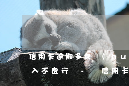 信用卡逾期多久會(huì)被計(jì)入不良行為-辦信用卡有逾期記錄不給過