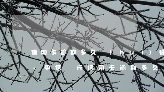 信用卡逾期多久會(huì)被走司法程序-中信銀行信用卡逾期多久會(huì)被走司法程序