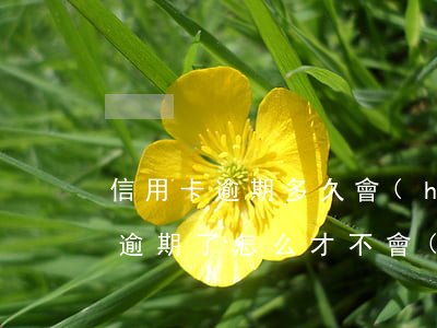 “信用卡逾期多久會(huì)被起訴”（信用卡逾期了怎么才不會(huì)被起訴）