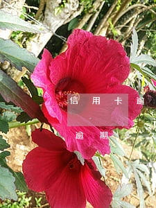信用卡逾期多久會(huì)被起訴(信用卡逾期多久會(huì)被起訴,金額達(dá)到多少?)