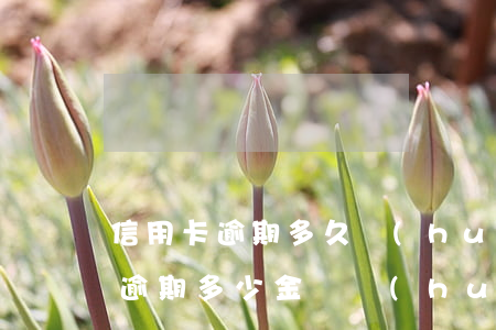 “信用卡逾期多久會(huì)被起訴”（信用卡逾期多少金額會(huì)被起訴坐牢）
