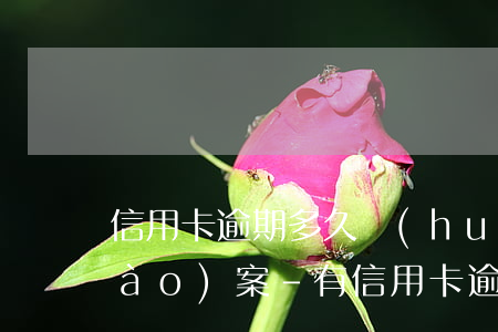 信用卡逾期多久會(huì)被起訴報(bào)案-有信用卡逾期被起訴的嗎