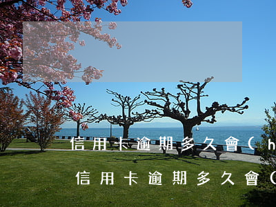 信用卡逾期多久會(huì)被起訴多少錢(信用卡逾期多久會(huì)被起訴多少錢)