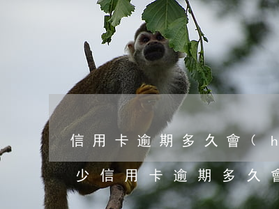 信用卡逾期多久會(huì)被起訴罰款多少(信用卡逾期多久會(huì)被起訴罰款多少)