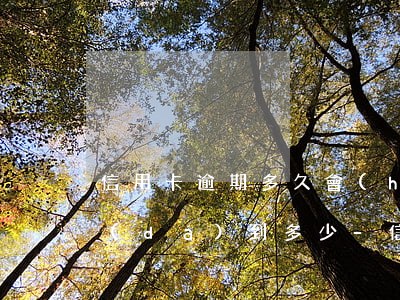 信用卡逾期多久會(huì)被起訴，金額達(dá)到多少?-“信用卡逾期多久會(huì)被起訴”