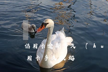 信用卡逾期多久會(huì)被追起訴(欠信用卡多久被起訴)