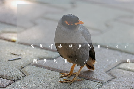 信用卡逾期多久會(huì)解封 信用卡逾期多久會(huì)解封微信