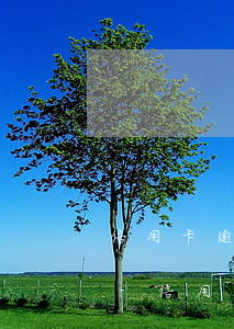 信用卡逾期多久會(huì)讓你處理全款-信用卡逾期多久會(huì)讓你處理全款還款