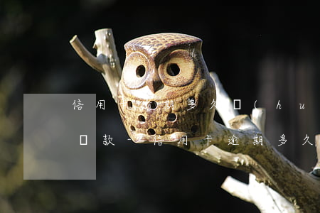 信用卡逾期多久會(huì)起訴怎么分期還款-“信用卡逾期多久會(huì)被起訴”