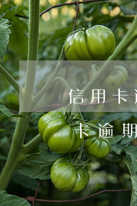 信用卡逾期多久會(huì)跨行扣款(銀行卡逾期扣款怎么回事)