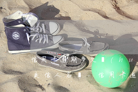 信用卡逾期多久會(huì)進(jìn)失信人名單-信用卡逾期多久會(huì)進(jìn)失信人名單里