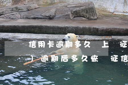 信用卡逾期多久會上傳征信系統(tǒng)(逾期后多久恢復征信)