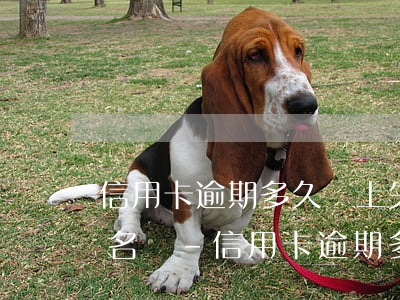 信用卡逾期多久會上失信被執(zhí)行名單-信用卡逾期多久會上失信被執(zhí)行名單呢