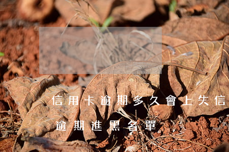 信用卡逾期多久會上失信黑名單（中信信用卡逾期進黑名單）