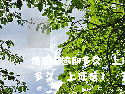 信用卡逾期多久會上征信1萬五 信用卡逾期多久會上征信1萬五