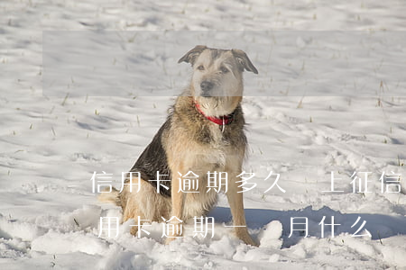 信用卡逾期多久會上征信怎么消除(征信上信用卡逾期一個月 什么時候能消除)