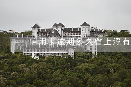 信用卡逾期多久會上浮(有逾期信用卡會提額嗎)
