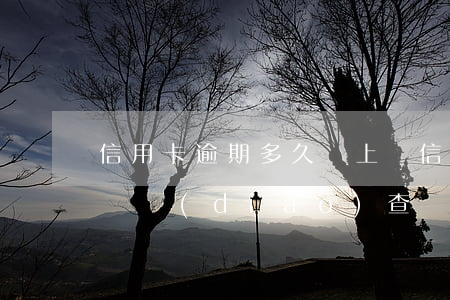 信用卡逾期多久會上門(信用卡逾期多久會上門調(diào)查)
