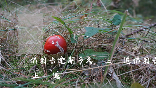 信用卡逾期多久會上門追 信用卡逾期多久會上門追責