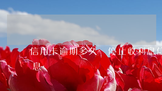 信用卡逾期多久會停止收利息(信用卡 逾期 罰息)
