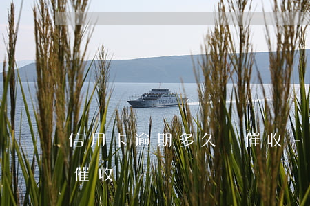 信用卡逾期多久會催收-信用卡逾期多久會催收電話