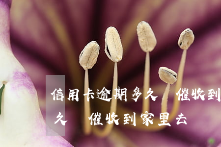 信用卡逾期多久會催收到家里(信用卡逾期多久會催收到家里去)