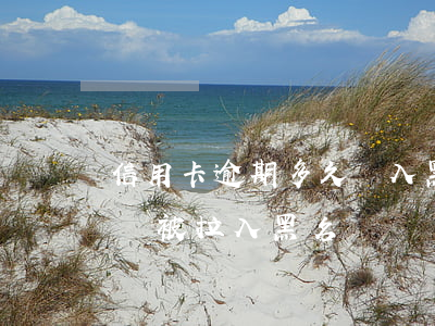信用卡逾期多久會入黑名單(信用卡逾期多久會被拉入黑名單)