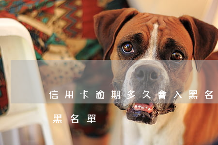 信用卡逾期多久會入黑名單(欠信用卡多久上黑名單)