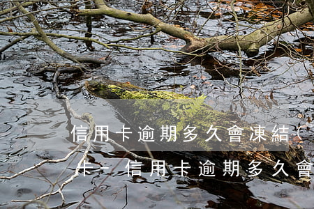 信用卡逾期多久會凍結(jié)個人儲蓄卡-信用卡逾期多久會凍結(jié)個人儲蓄卡賬戶