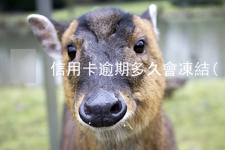 信用卡逾期多久會凍結(jié)借記卡