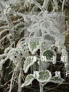 信用卡逾期多久會凍結(jié)微信零錢嗎-銀行卡逾期會凍結(jié)微信嗎